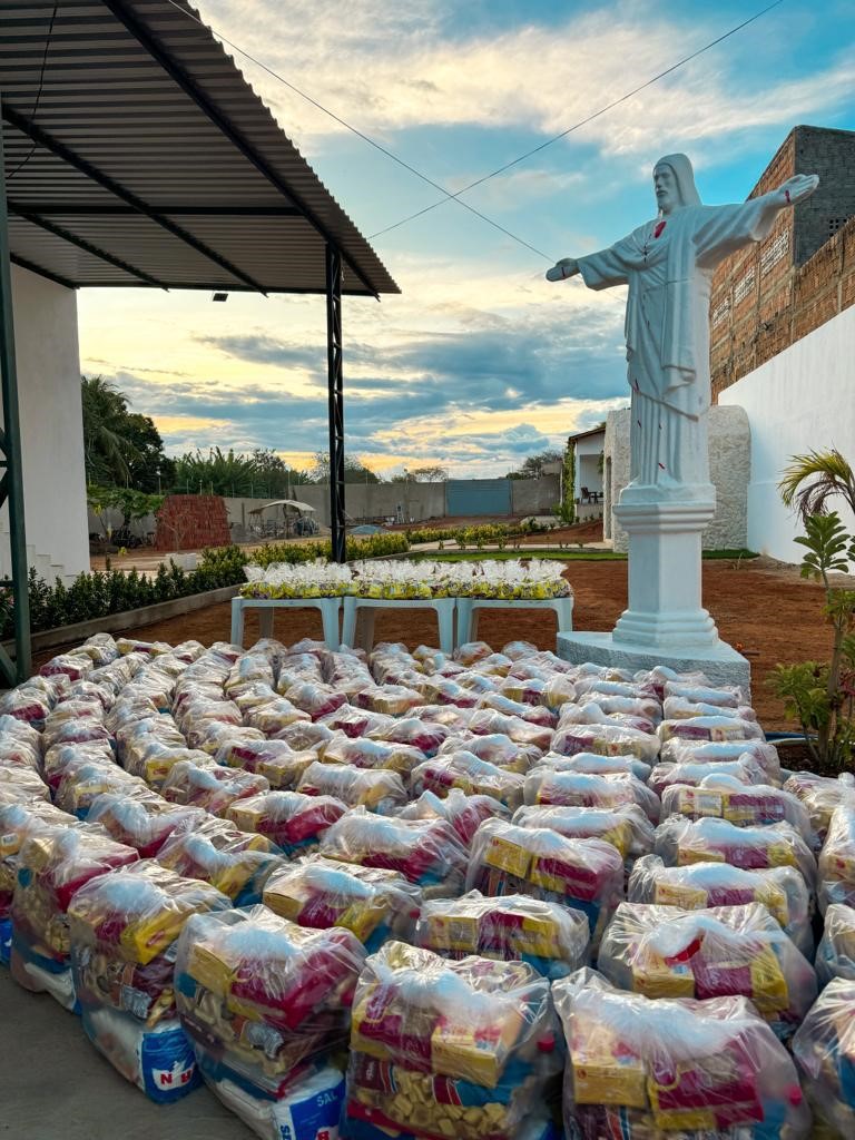 Ação Social e Solidariedade